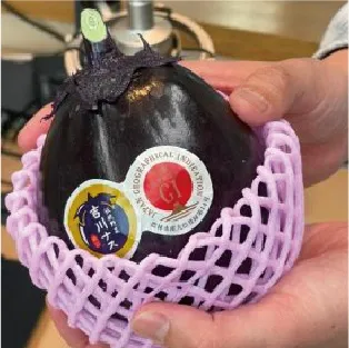吉川ナス